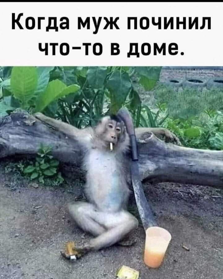 Одноклассники