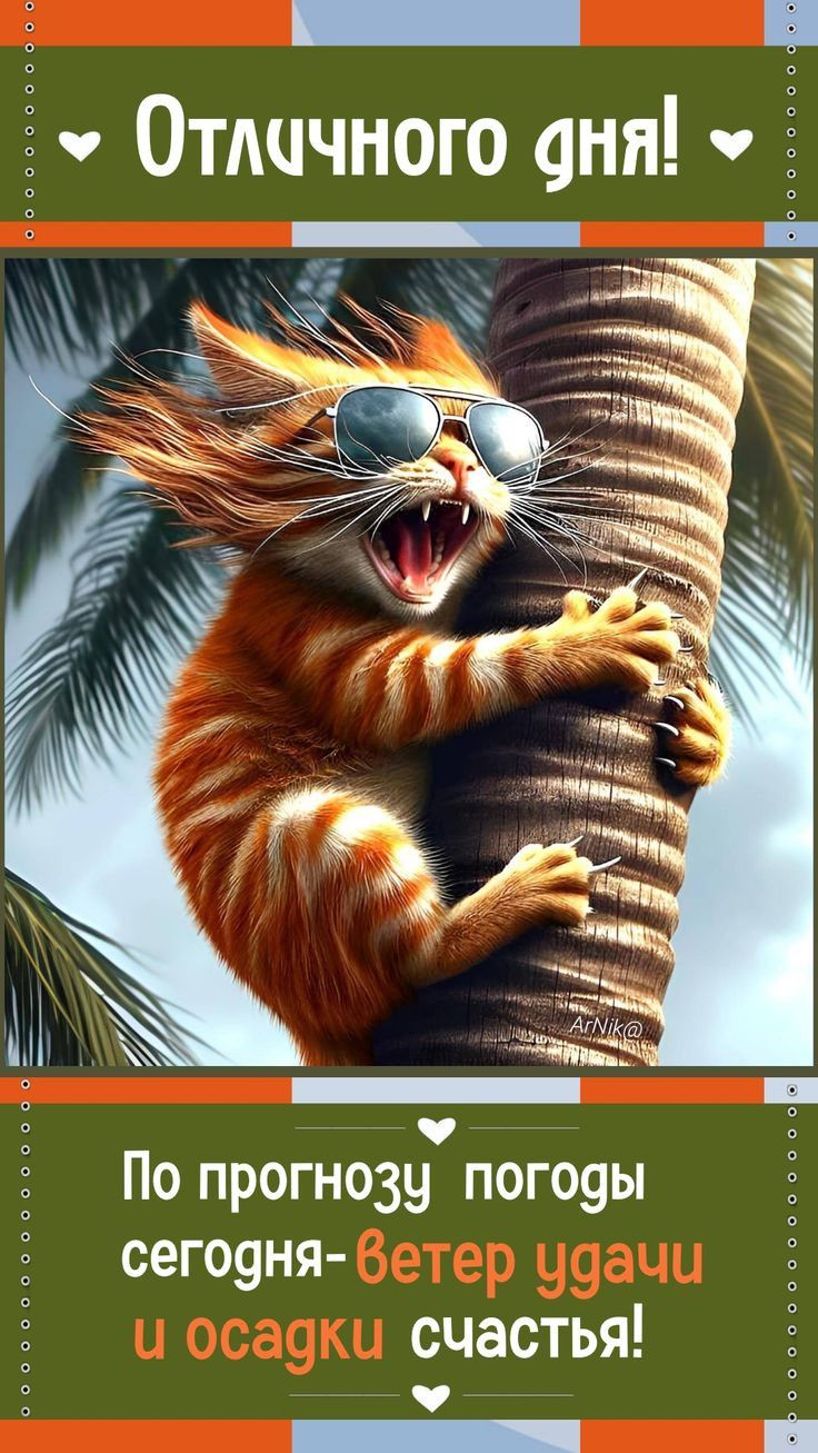 хорошего дня 😌😌😌😌