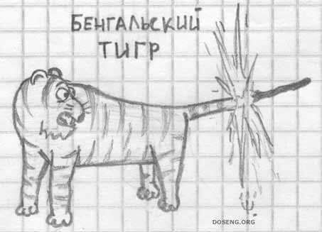 Картинки с надписями и анекдоты 21.07.19 – ЯПлакалъ