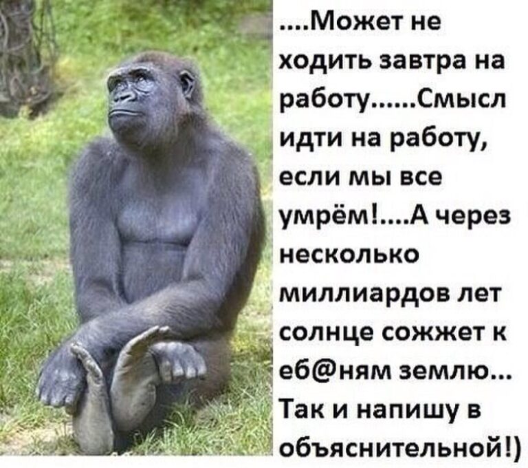 О нашем, О девичьем… Зона свободная от мужчин. Часть 2