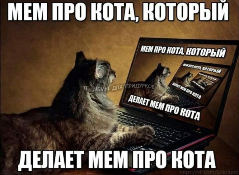 тг: мемы для придурков