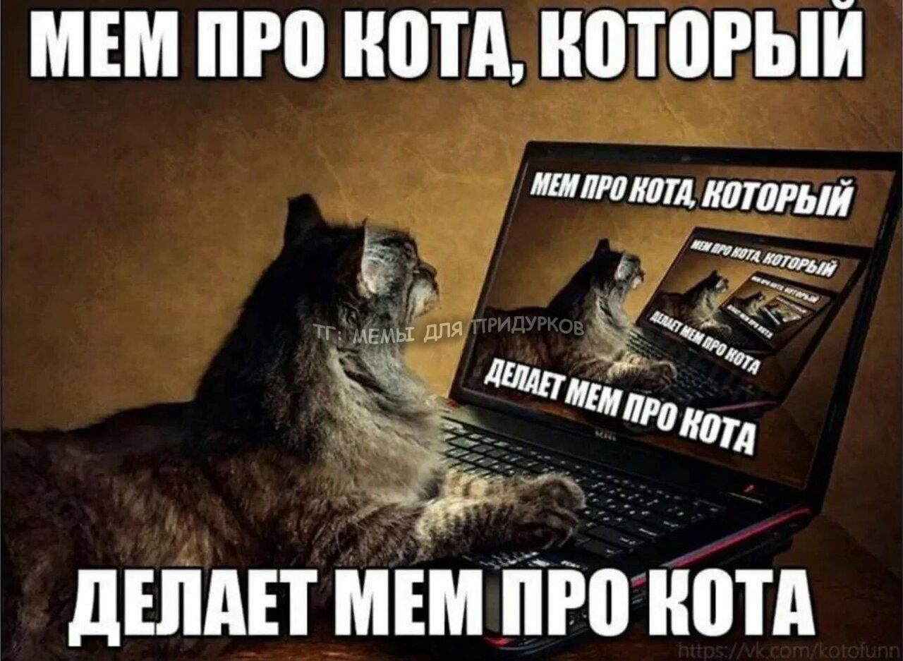 тг: мемы для придурков