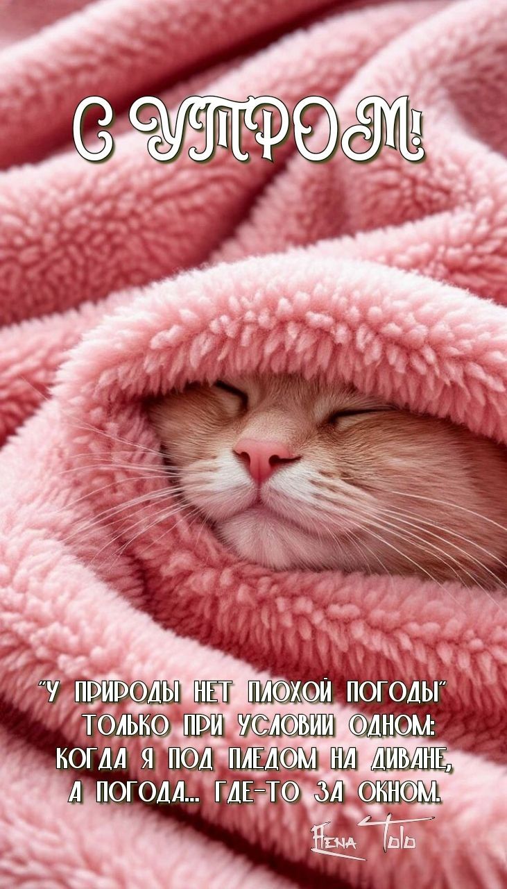 🤪😋😜С Утром!😜😋🤪 18.11.2025