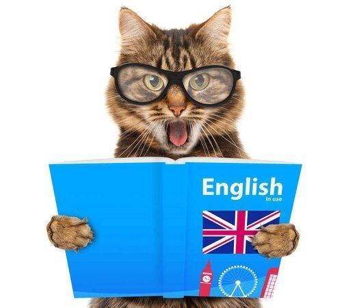 Английский язык в картинках на разные темы для детей и