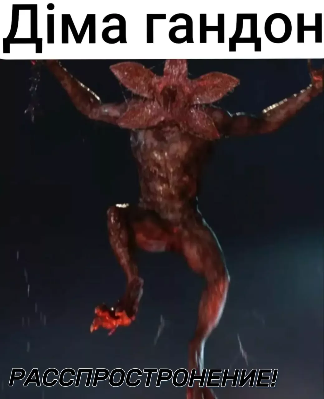 Дiма гандон  РАССПРОСТРОНЕНИЕ