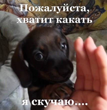 Пожалуйста…хватит какать