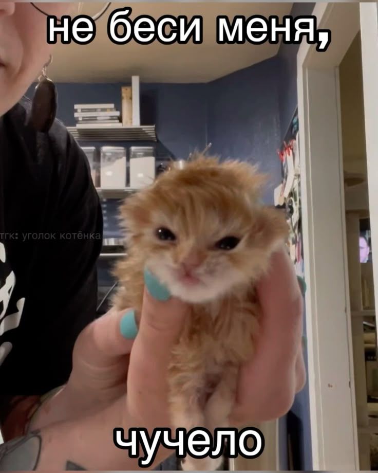 Чучело🥵🥵🥵🥵