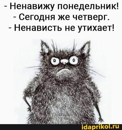 – Ненавижу понедельник! – Сегодня же четверг. – Ненависть не утихает! – АйДаПрикол