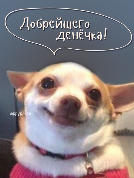 💌☀️😄 Картинки Хорошего дня – скачать
