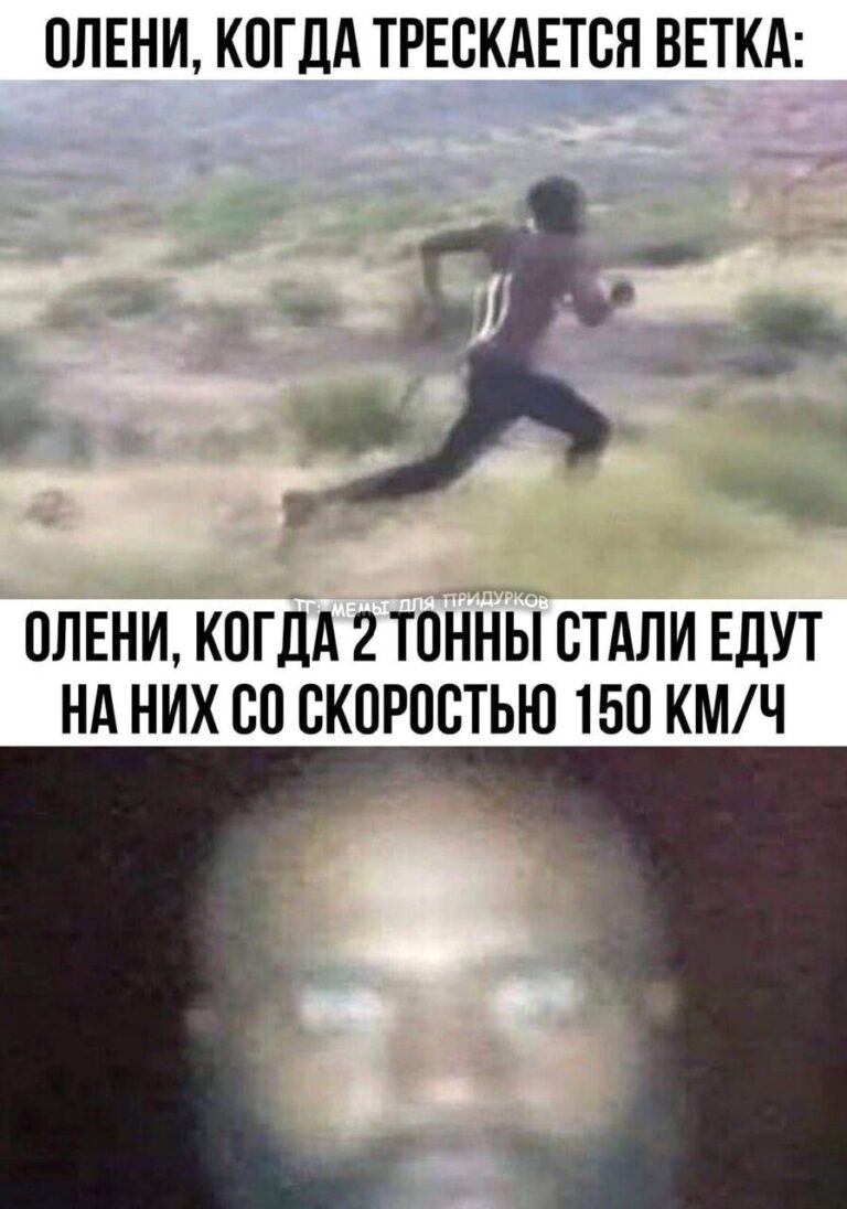 тг: мемы для придурков