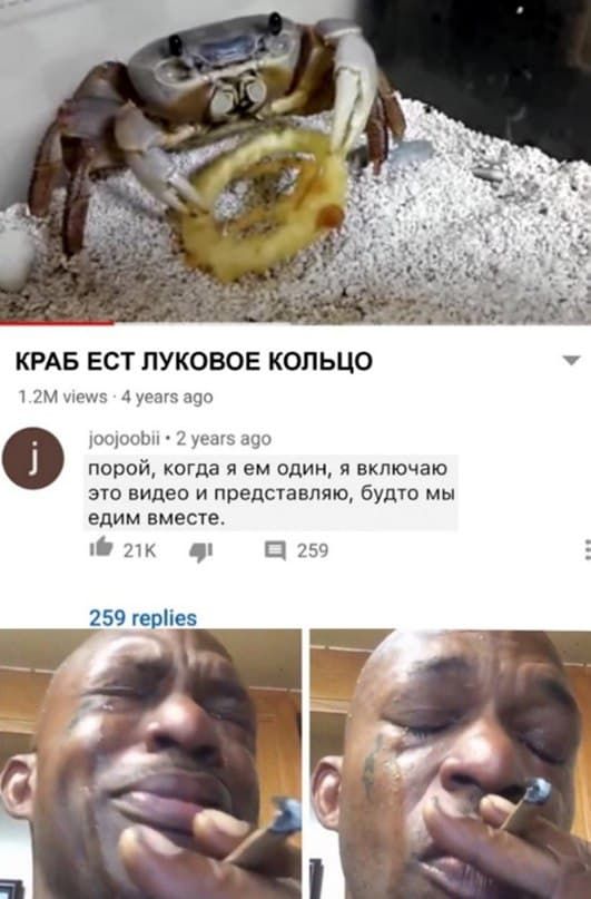 Краб есть луковое кольцо | Юмор и еда | Vk