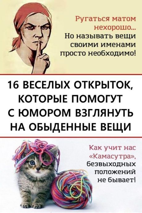 смешные открытки735