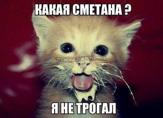 тг: мемы для придурков