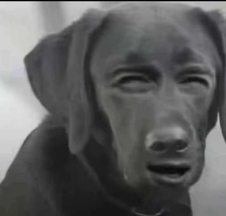 10 Must-Watch Movies That Will Blow Your Mind in 2025