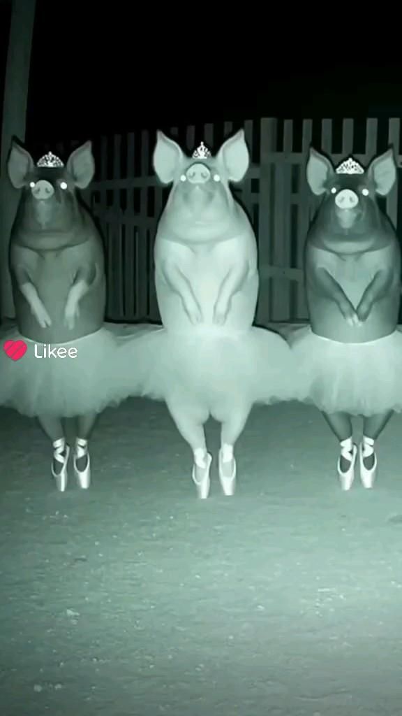 видео не мое🚫