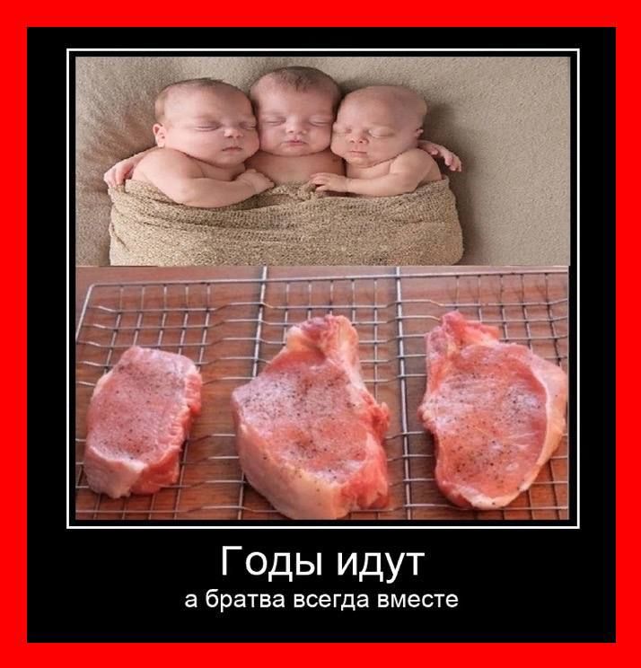 подписочку на телеграм канал