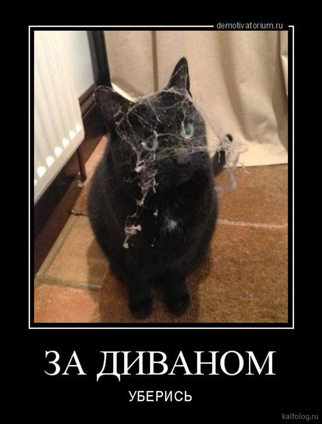 Новая подборка прикольных демотиваторов (45 фото)