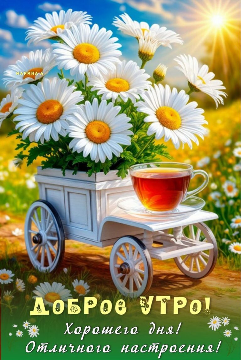 ДОБРОЕ УТРО (23.06.2025)