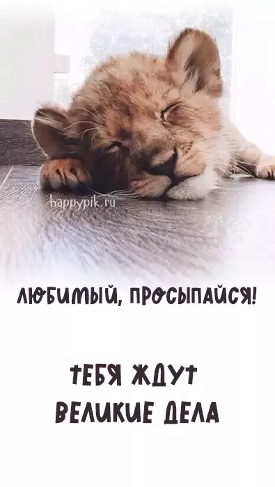 Картинки любимому мужчине С добрым утром ☀️⏰ – скачать