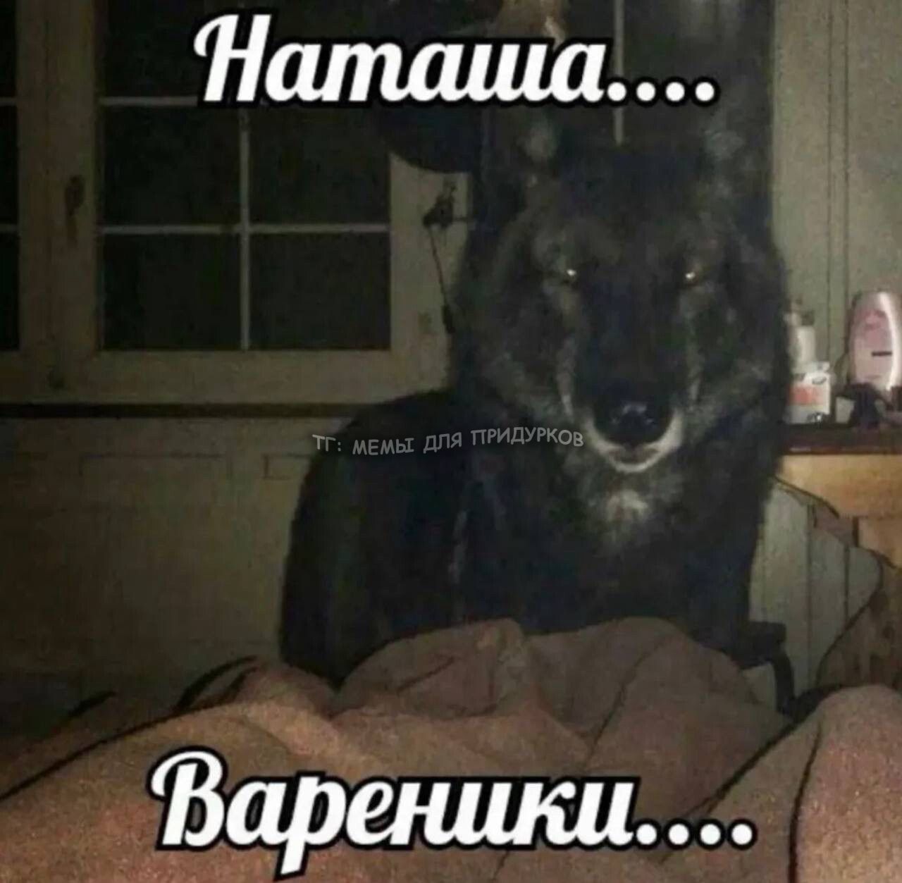 тг: мемы для придурков