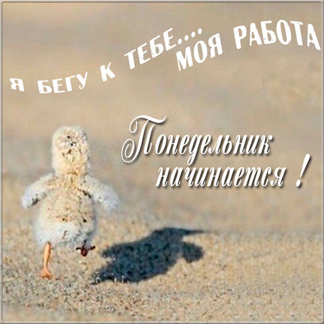 Открытки и прикольные картинки с красивыми пожеланиями и веселыми надписями