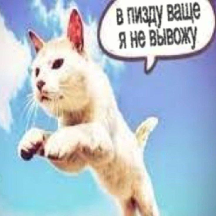 #-что я выдаю после 8 уроков