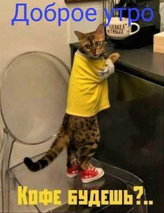 Фото 897577890556 из альбома с добрым утром. Смотрите в группе Картинки с Добрым утром..от АлИсКи… в ОК