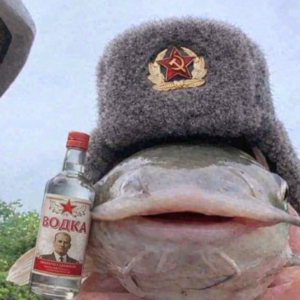 Soviet catfish