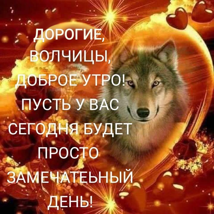 дорогие волчицы, доброе утро! пусть у вас сегодня будет просто замечательный день!
