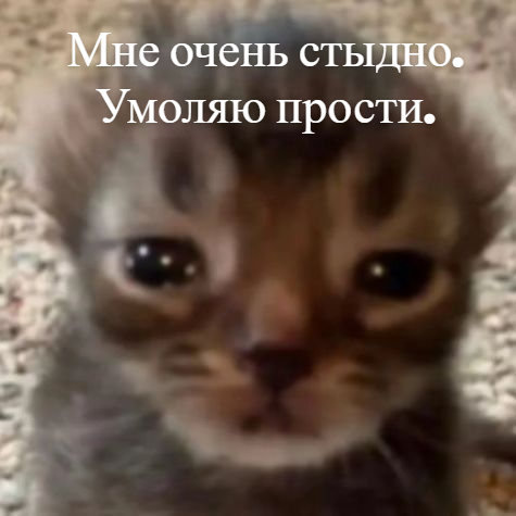Мне очень стыдно. Умоляю прости.