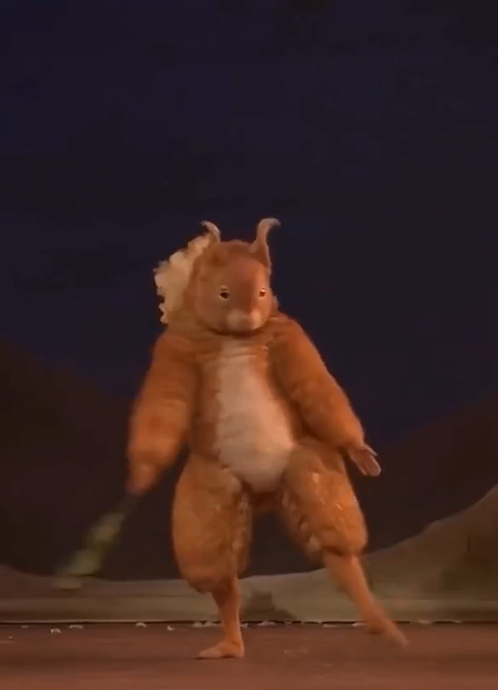 Белочка пришла⁠⁠