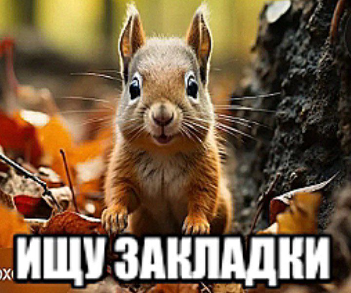 ищу закладки