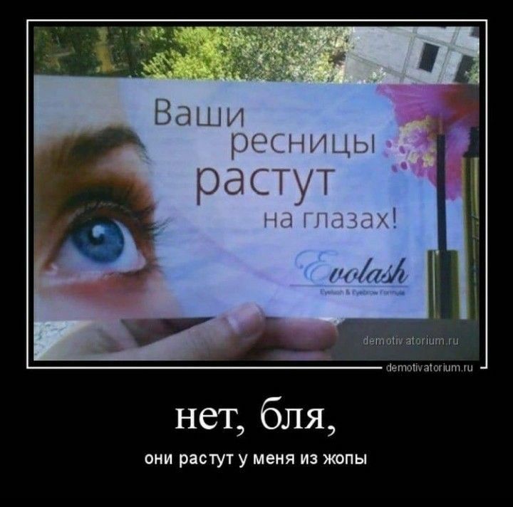 ну да, всё так и было!