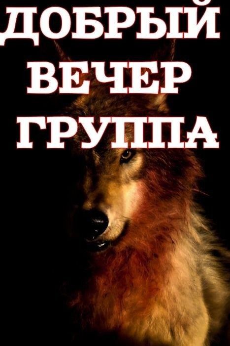 тгк изреж сибя кинжалами