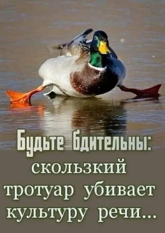 картинки смешные737