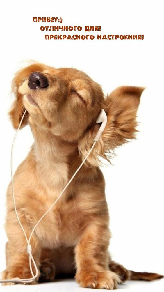 Офигенные картинки \