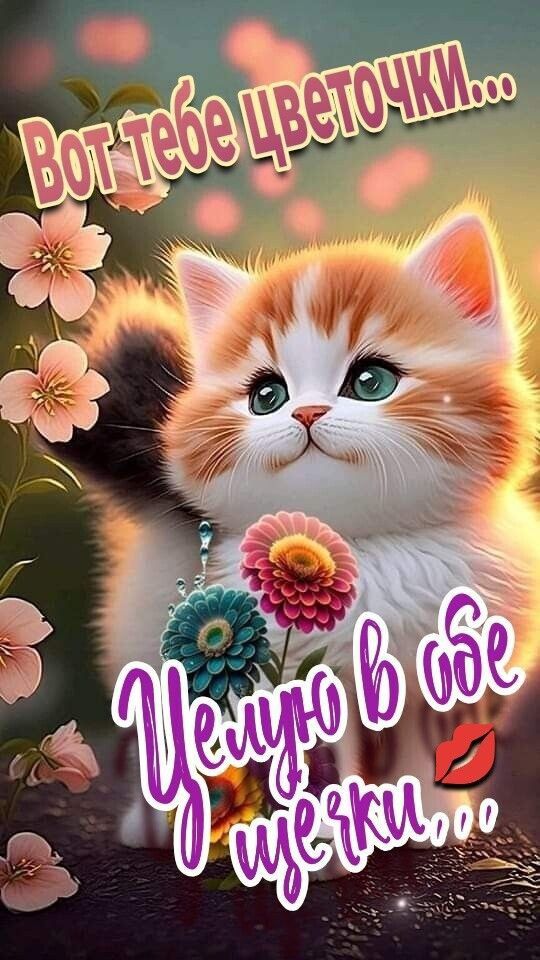 с добрым утром 🌞🌞🌞