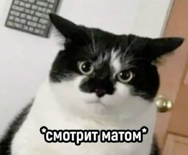 Смотрит матом