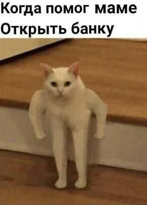мем #1