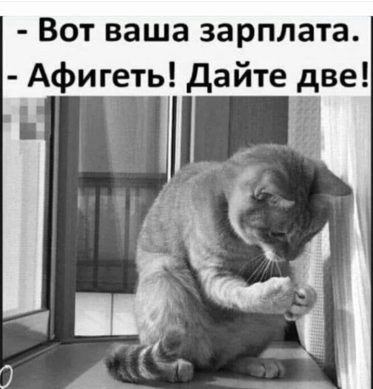 Юмор за день и драники