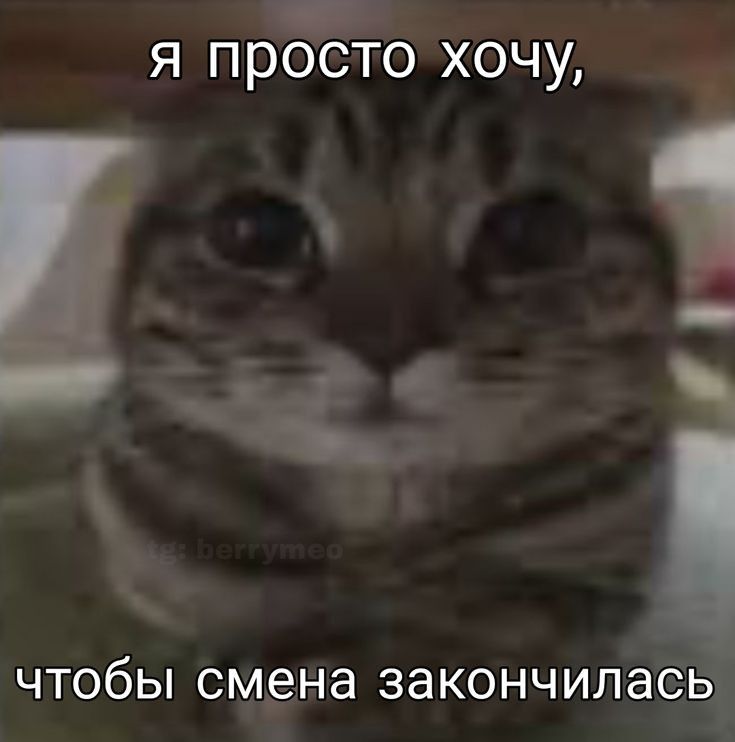 доброе утро