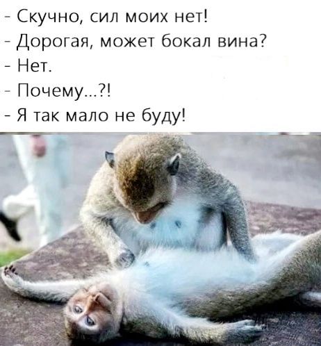 юмор, смешные картинки