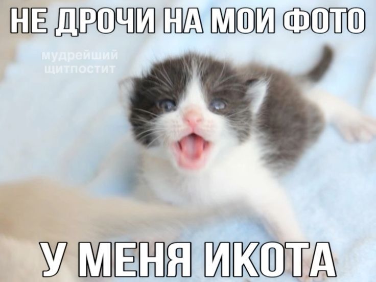У меня уже икота