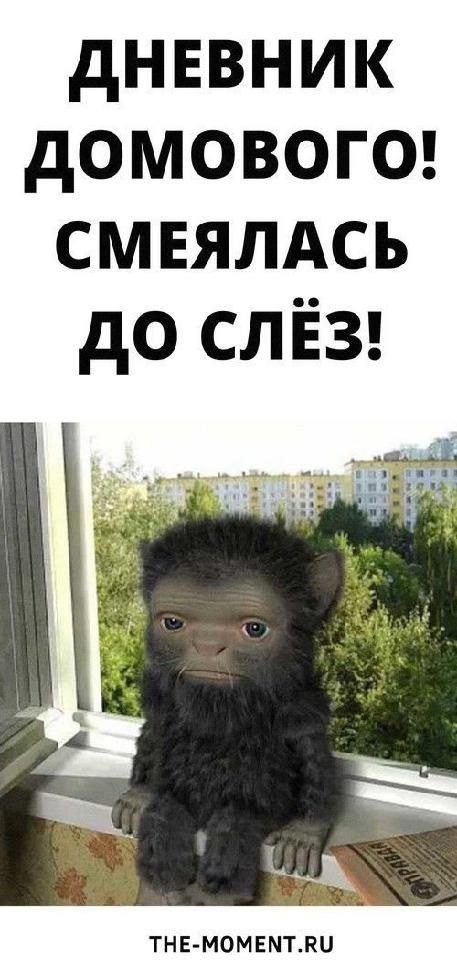 Дневник Домового! Смеялась До Слёз! | полезные идеи