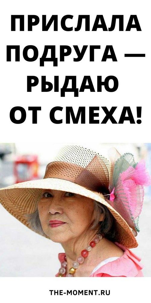 Новый и очень смешной анекдот, который рассмешит любого |obrazovannayasova