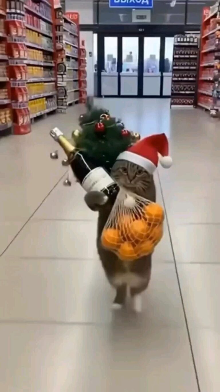 Из бескрайних просторов Интернета.