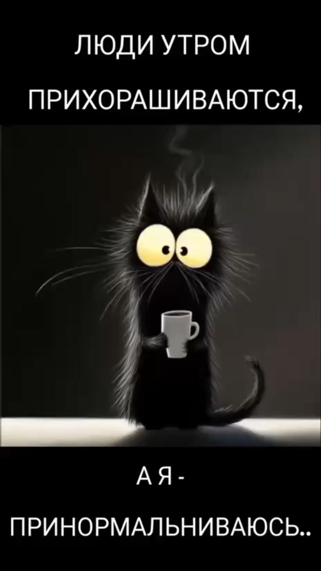 Ну, что Принормальнились!?!😀