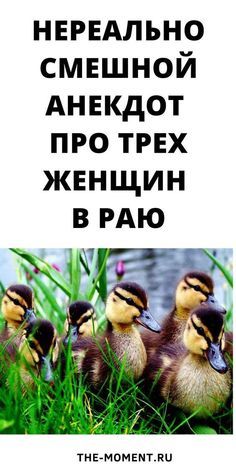 Анекдот: Три женщины в раю!