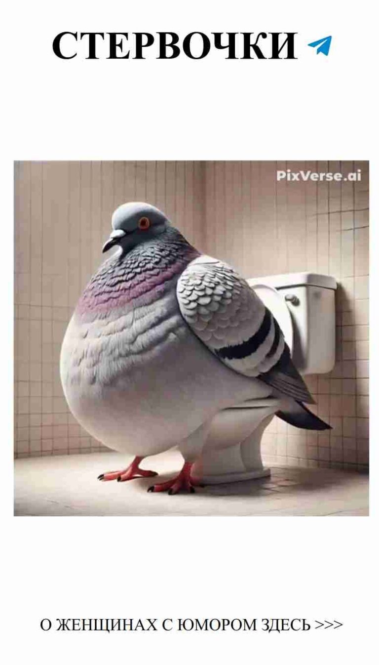 Любовь и смех: самые смешные моменты в отношениях