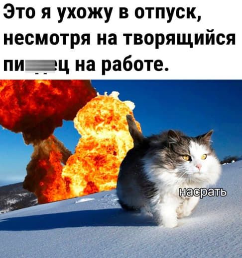 подписочку на телаграм канал